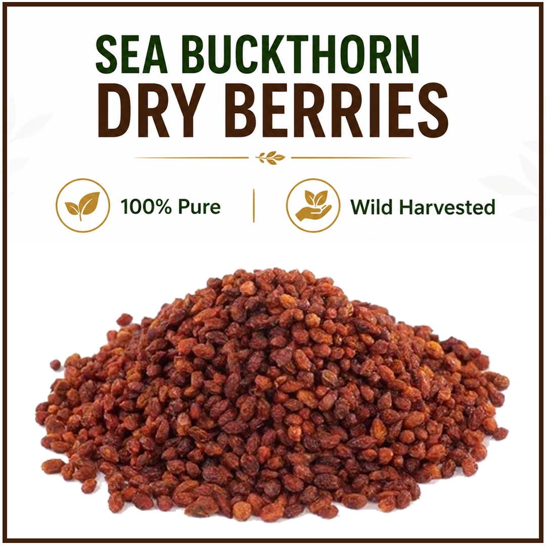 Final Sea buckthorn Dried Berries